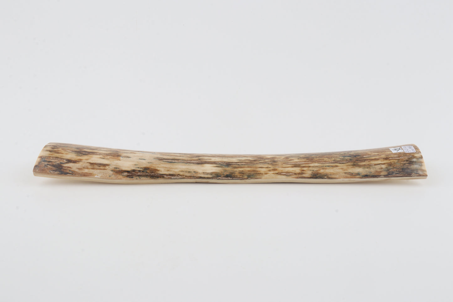 Orange mammoth bark
