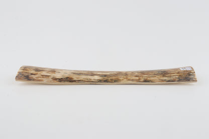 Orange mammoth bark