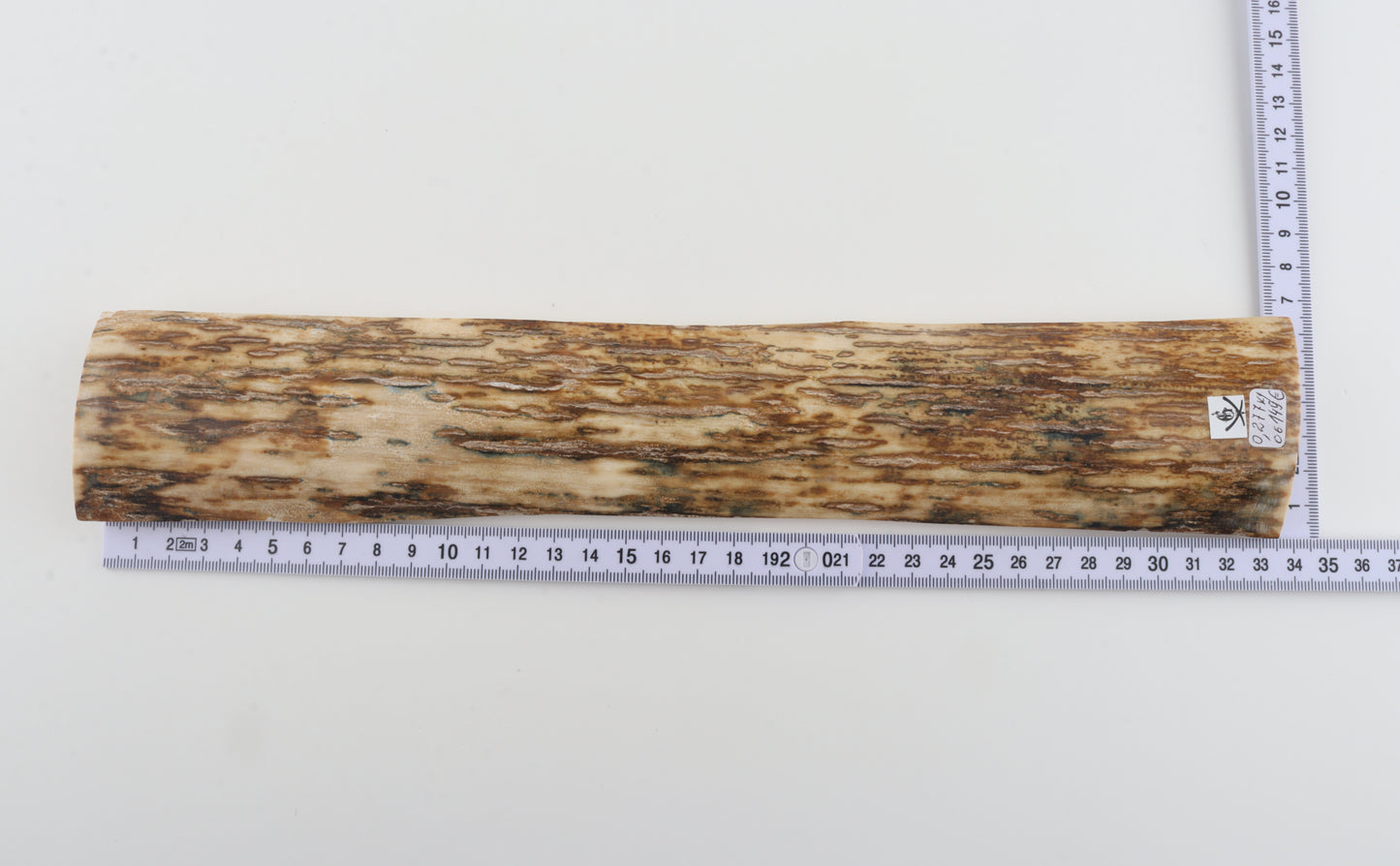 Orange mammoth bark