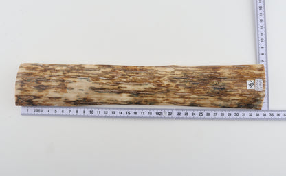 Orange mammoth bark