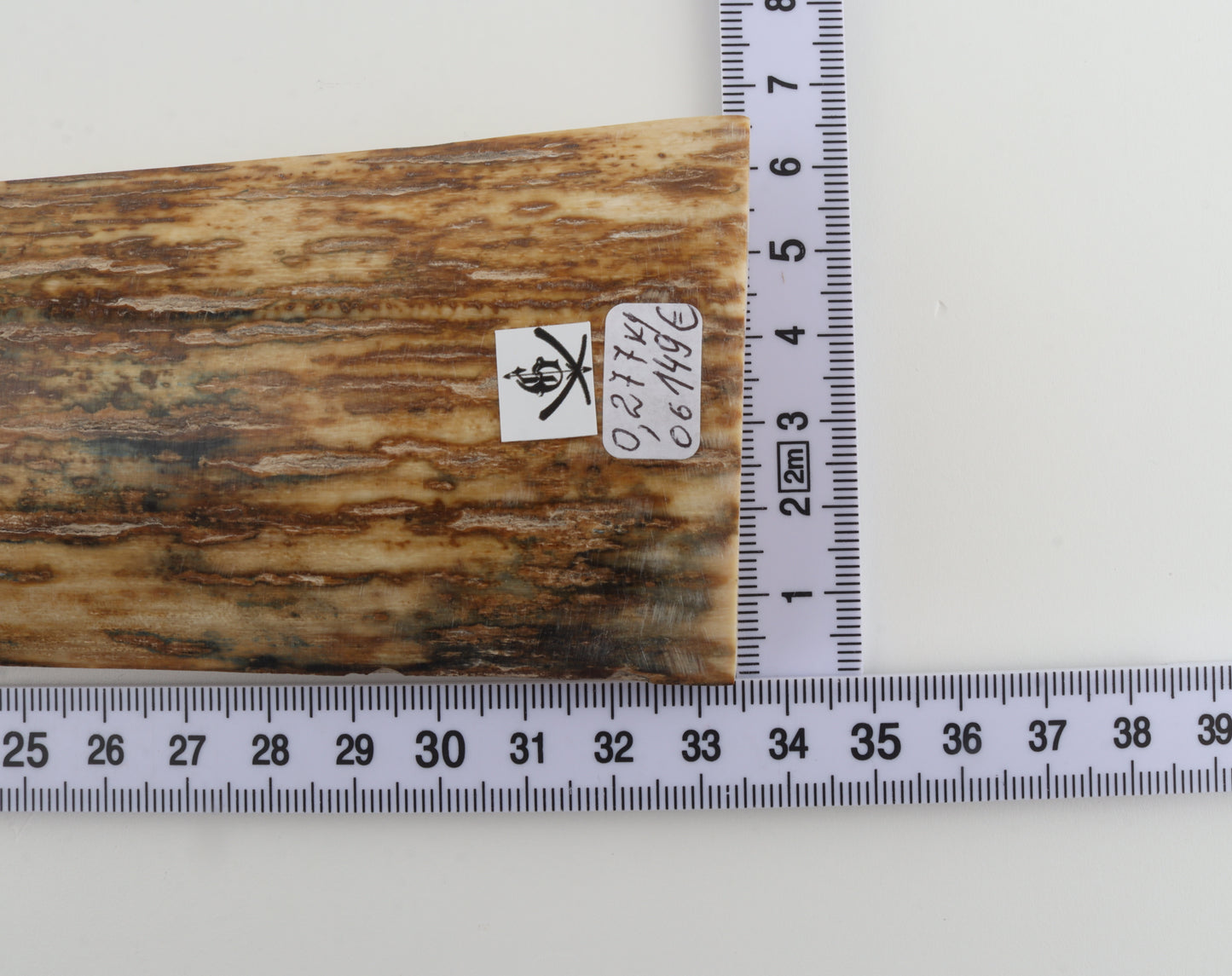 Orange mammoth bark