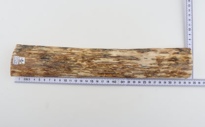 Orange mammoth bark