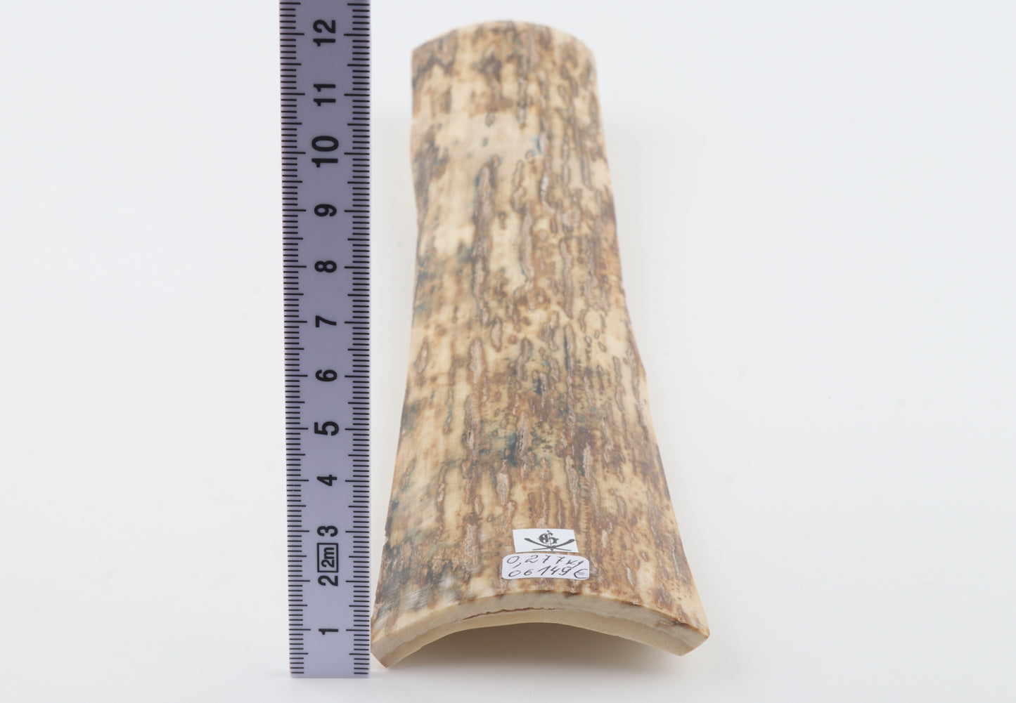 Orange mammoth bark
