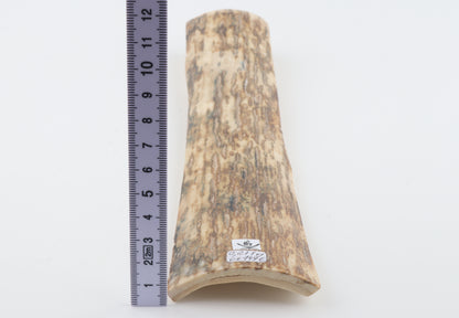 Orange mammoth bark