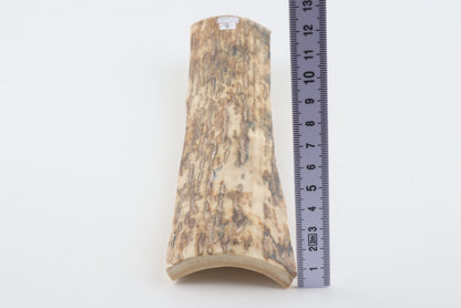 Orange mammoth bark