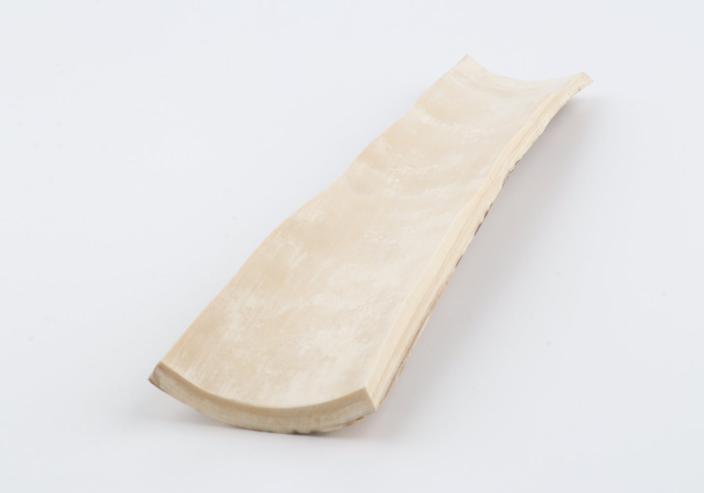 Orange mammoth bark