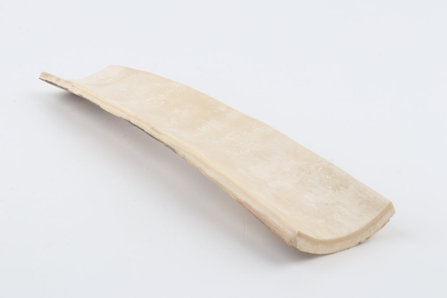 Orange mammoth bark