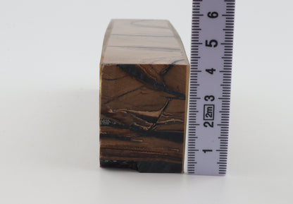 Stabilised mammoth ivory block