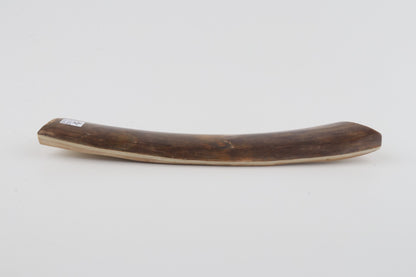 Brown mammoth bark