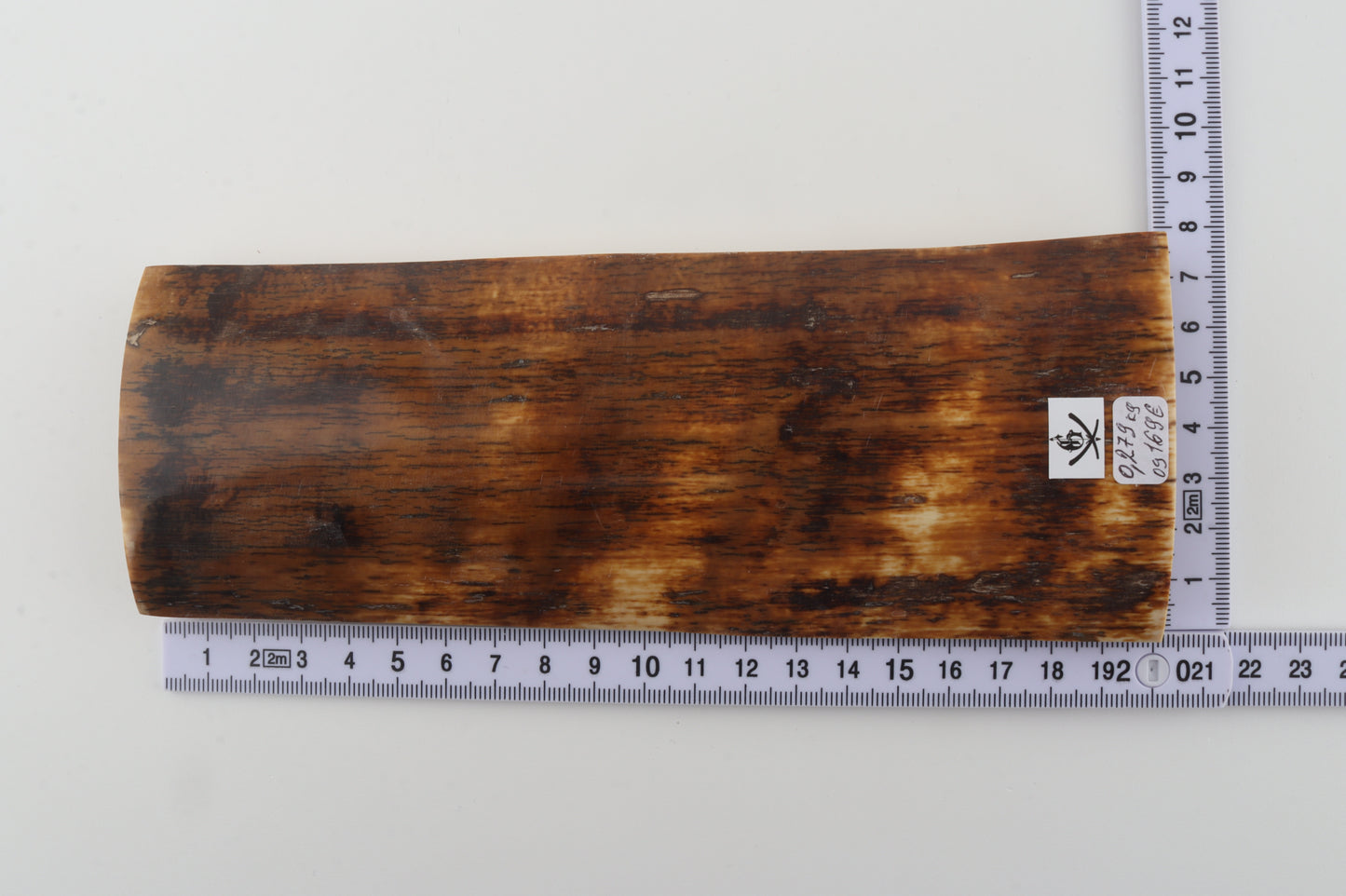 Brown-amber mammoth bark