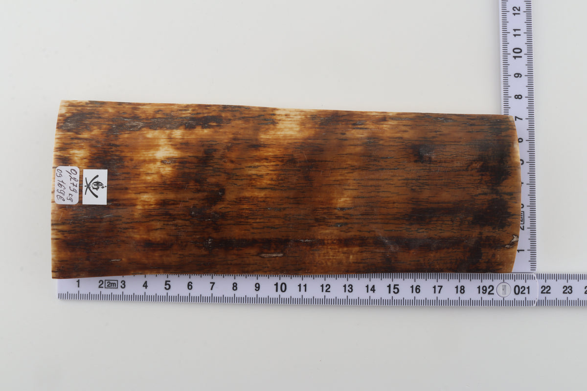 Brown-amber mammoth bark