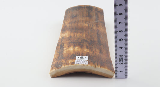 Brown-amber mammoth bark