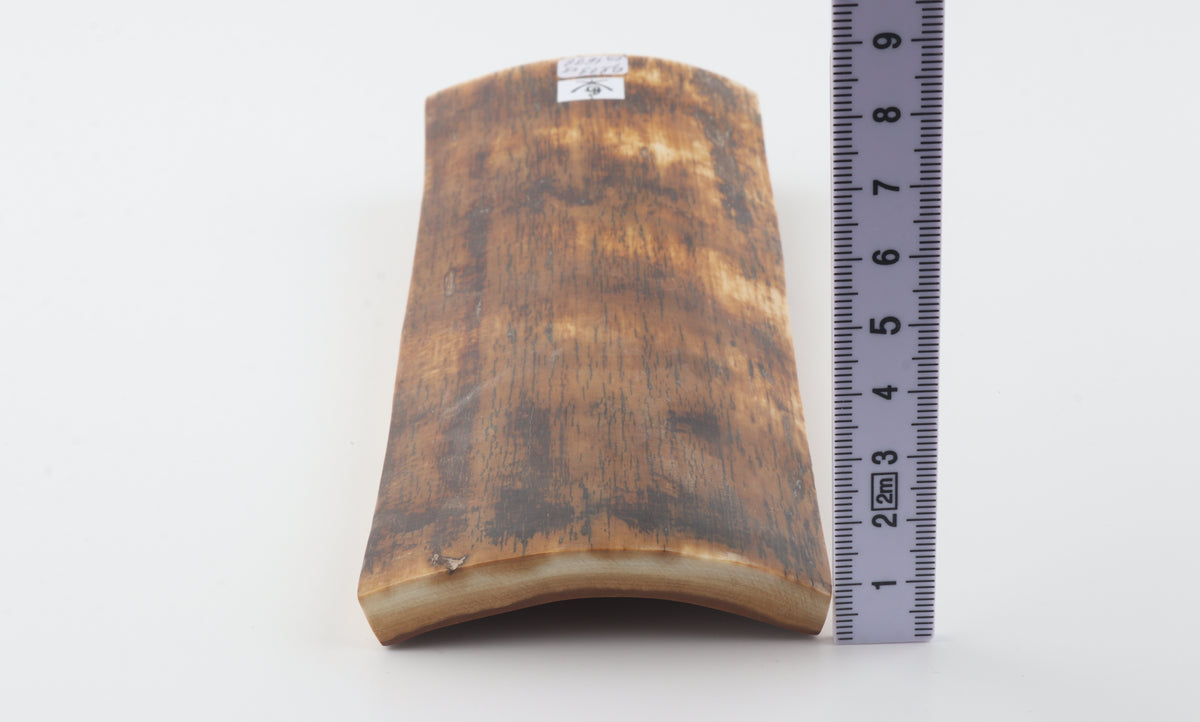 Brown-amber mammoth bark