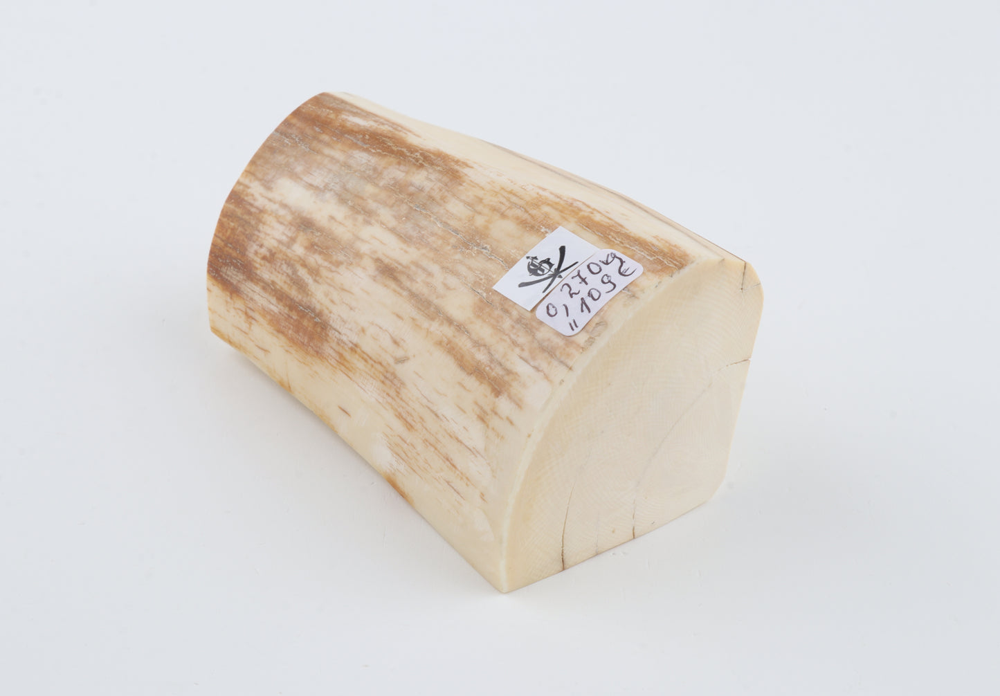 Natural mammoth ivory piece