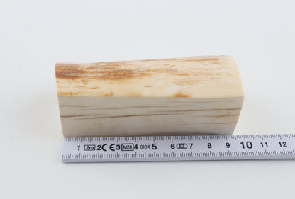 Natural mammoth ivory piece