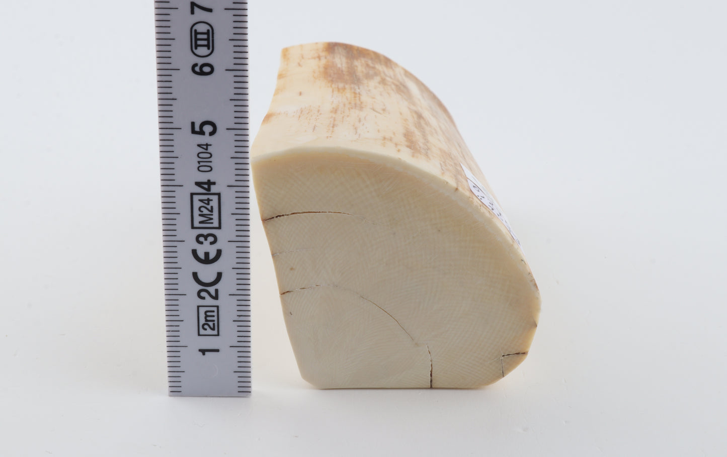Natural mammoth ivory piece