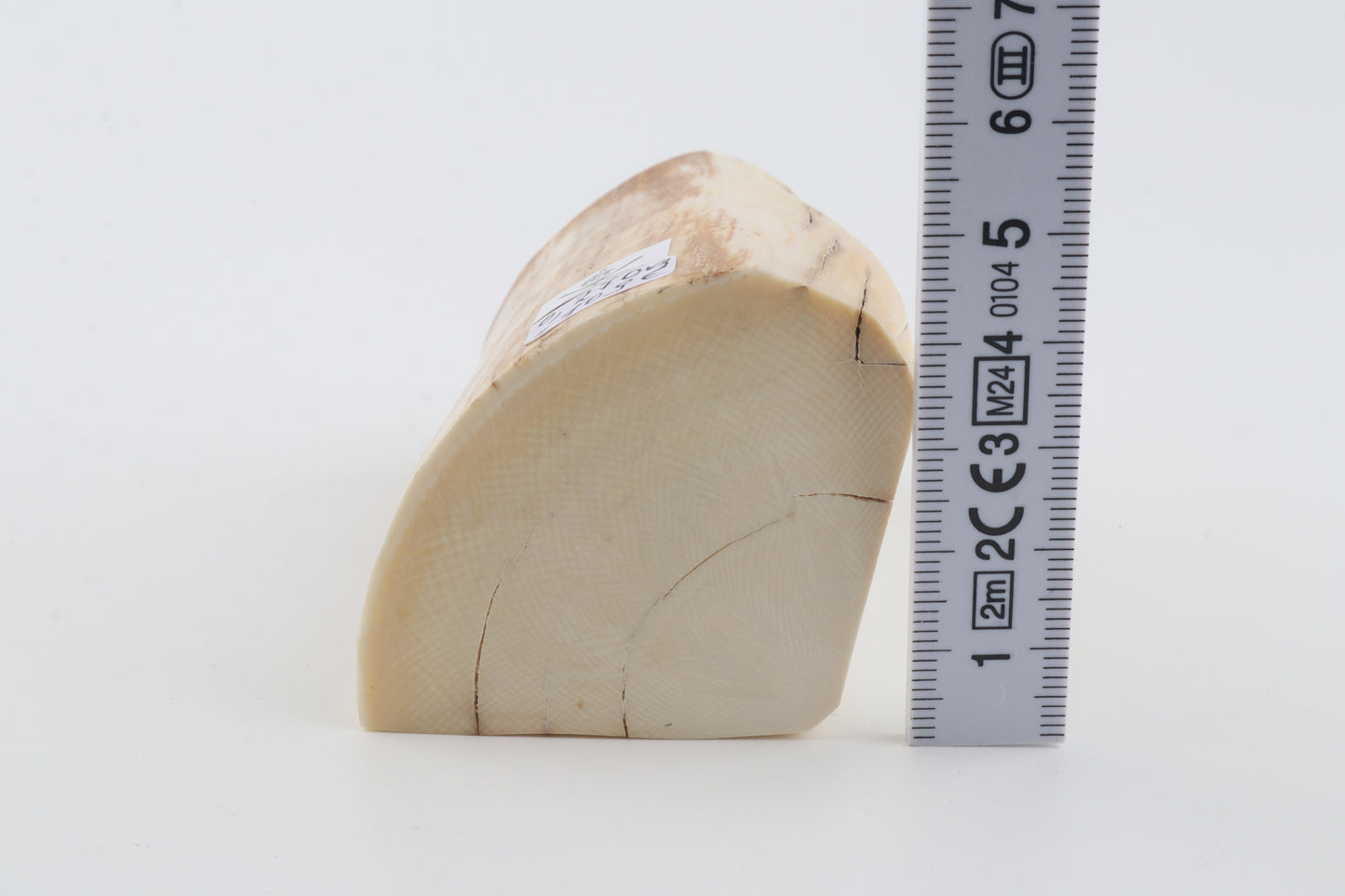 Natural mammoth ivory piece