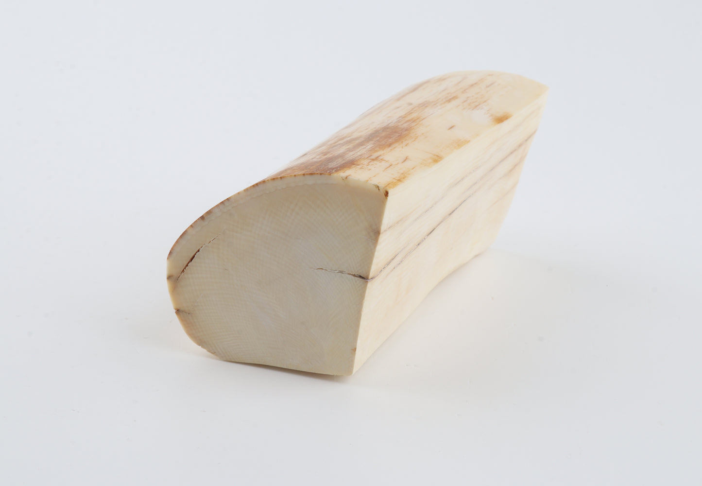 Natural mammoth ivory piece