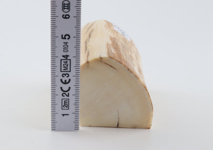 Natural mammoth ivory piece