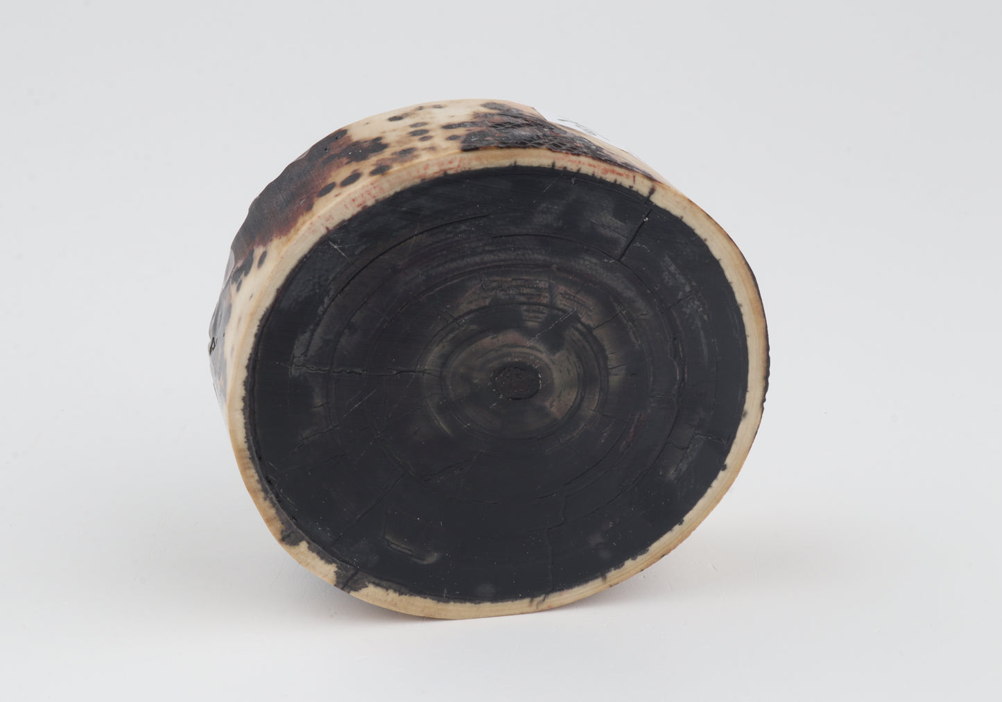 Stabilised mammoth ivory block