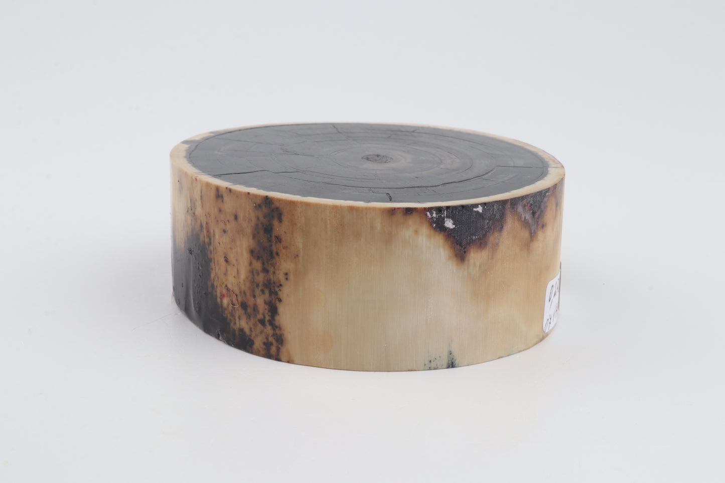 Stabilised mammoth ivory block