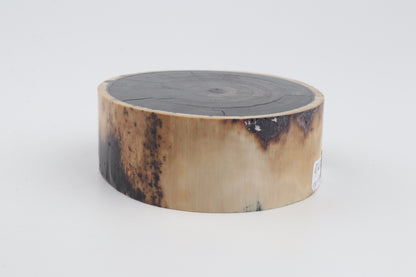 Stabilised mammoth ivory block