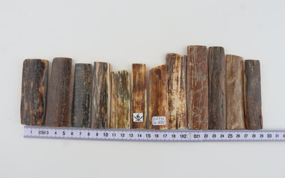 Natural mammoth bark pieces