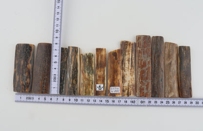Natural mammoth bark pieces