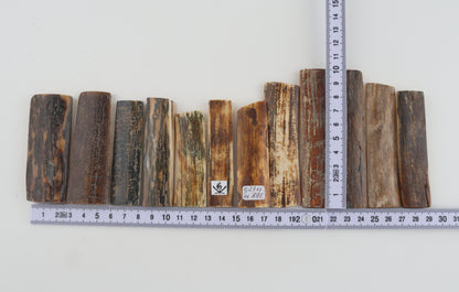 Natural mammoth bark pieces