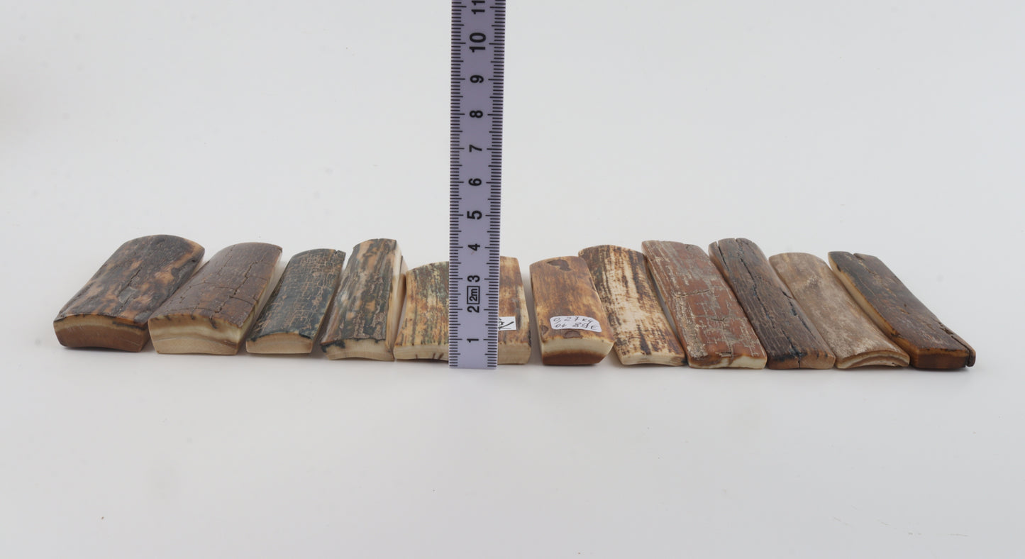 Natural mammoth bark pieces