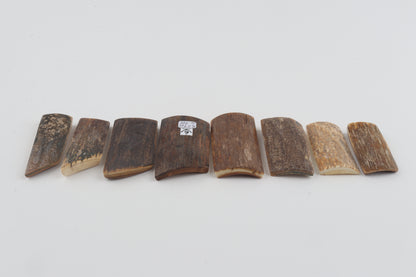 Natural mammoth bark pieces