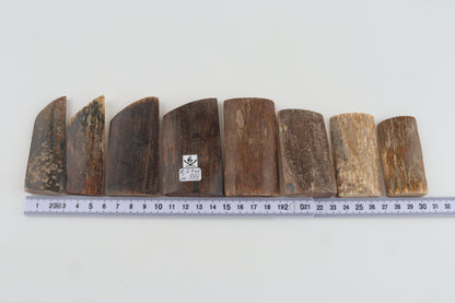 Natural mammoth bark pieces