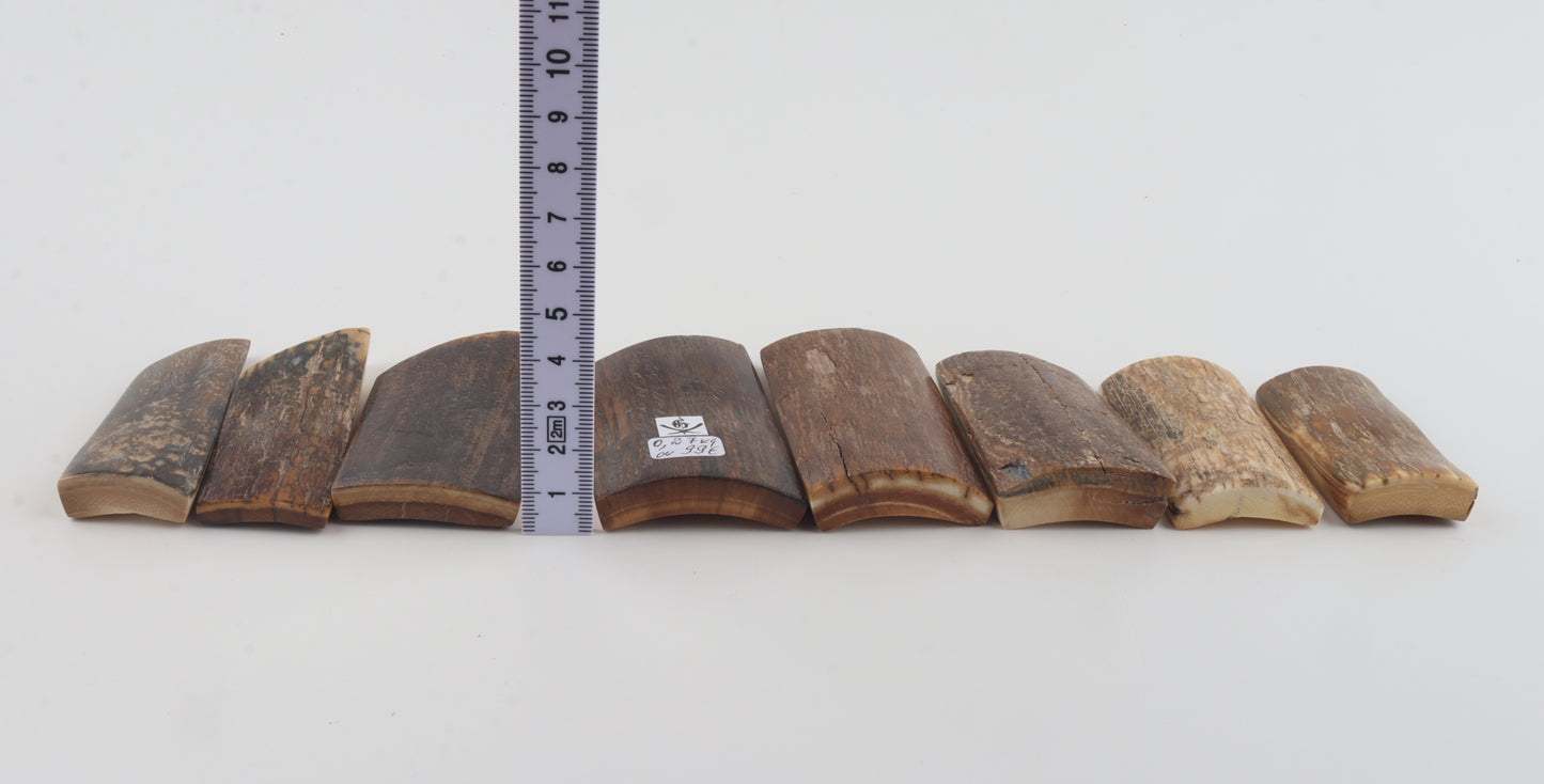 Natural mammoth bark pieces