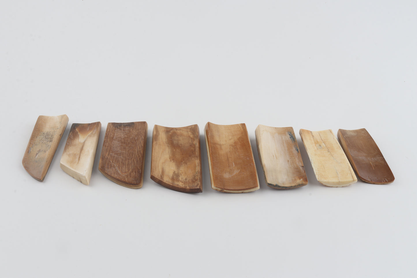 Natural mammoth bark pieces