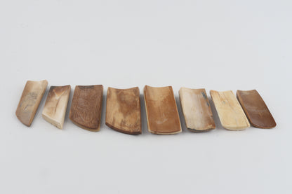 Natural mammoth bark pieces