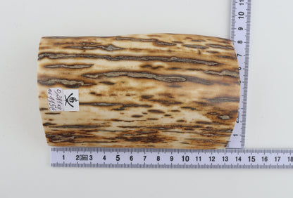 Natural woolly mammoth bark