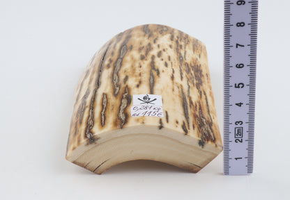 Natural woolly mammoth bark