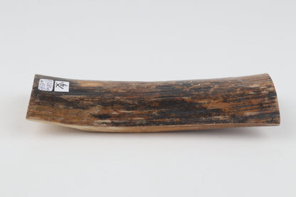 Mustard-black mammoth bark