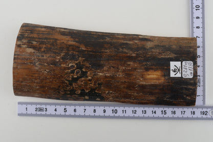 Mustard-black mammoth bark
