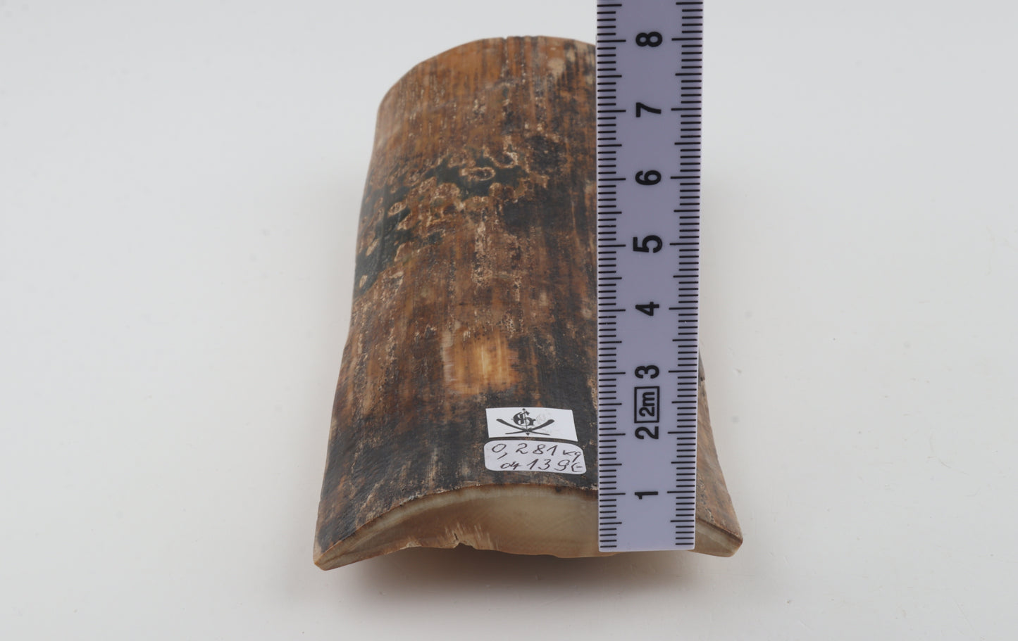 Mustard-black mammoth bark