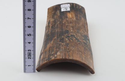 Mustard-black mammoth bark