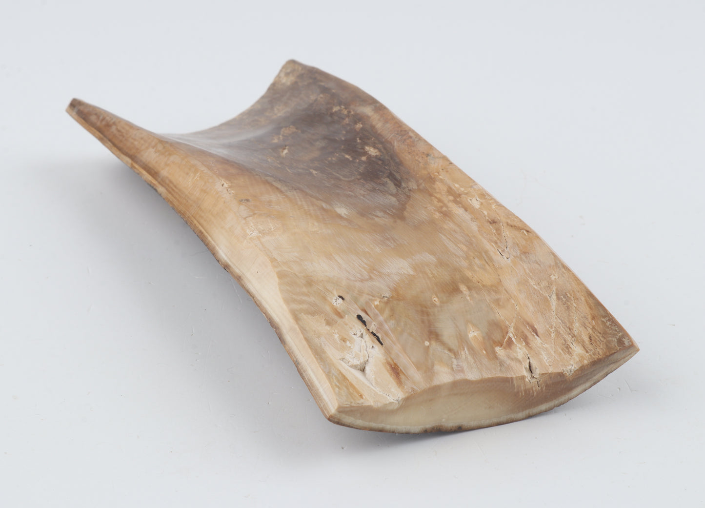 Mustard-black mammoth bark