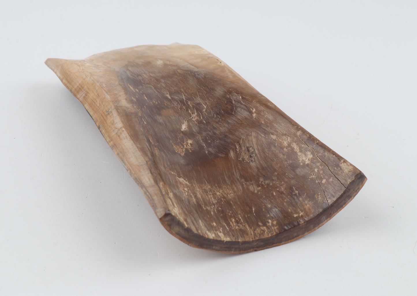 Mustard-black mammoth bark