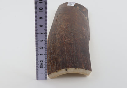 Brown mammoth bark