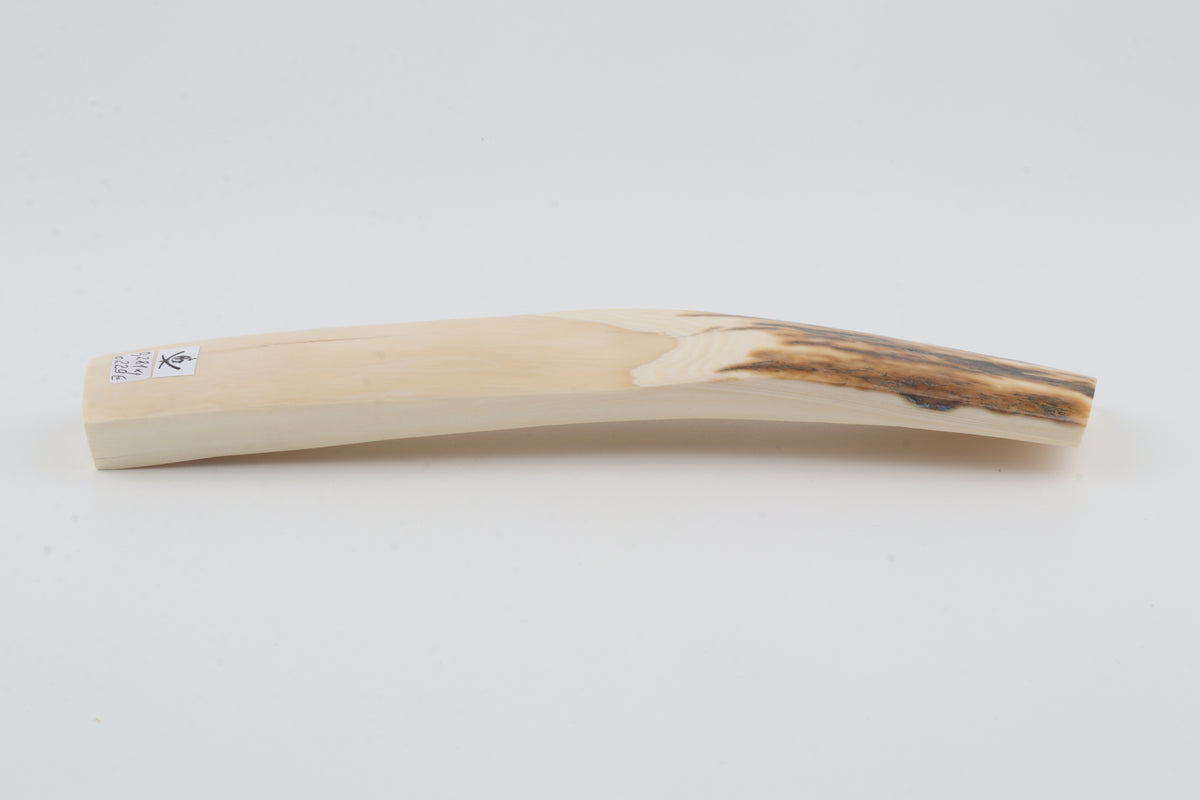 White-brown mammoth ivory piece