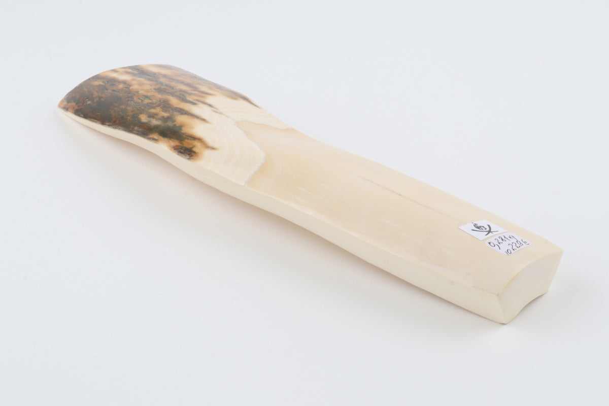 White-brown mammoth ivory piece