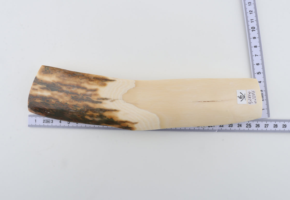 White-brown mammoth ivory piece