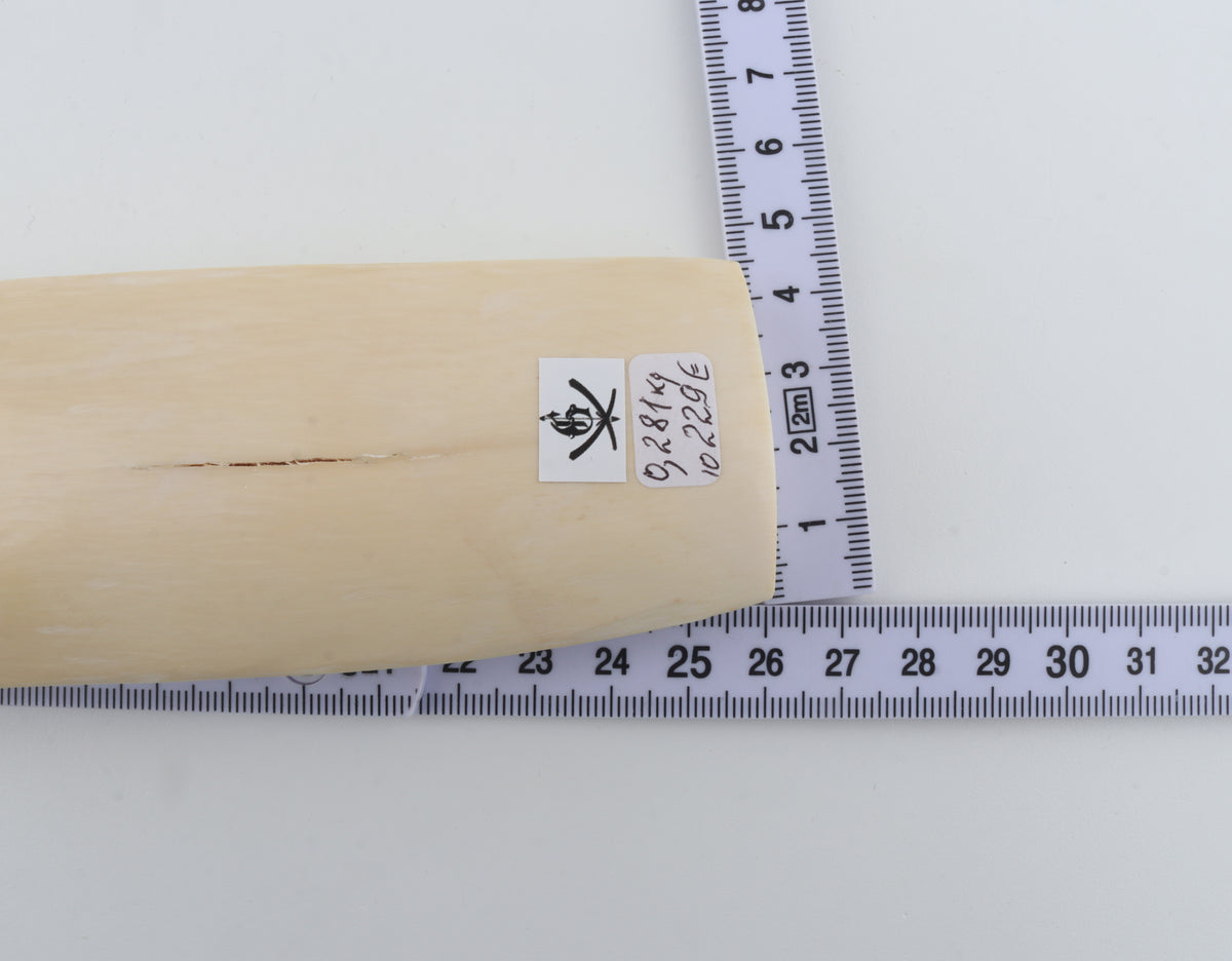 White-brown mammoth ivory piece
