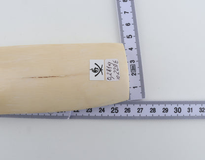 White-brown mammoth ivory piece
