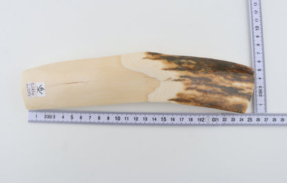 White-brown mammoth ivory piece